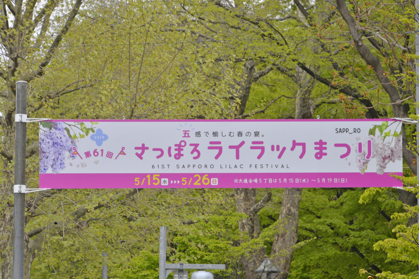 札幌ライラックまつり