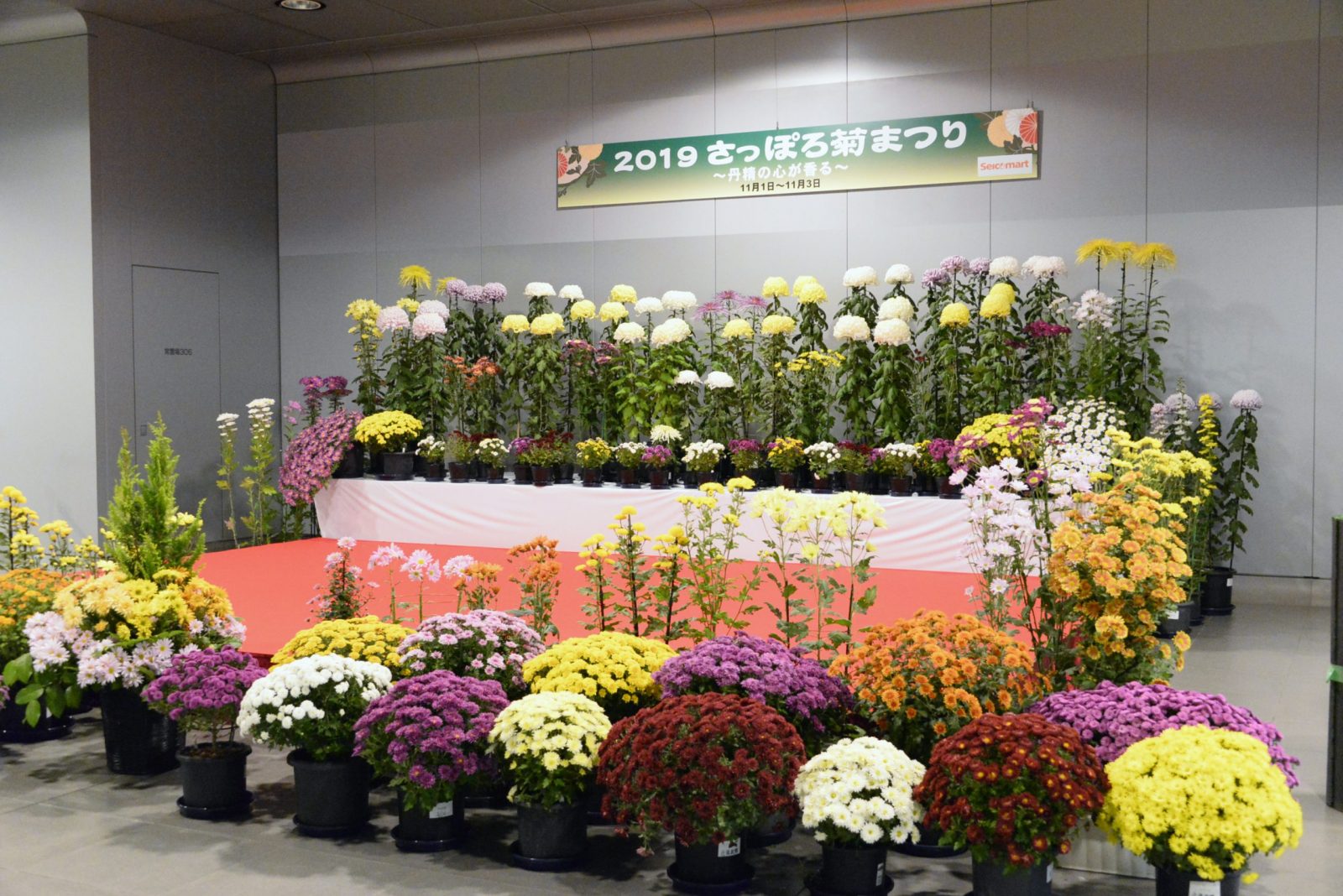 さっぽろ菊まつり